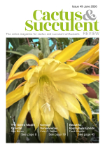 CSR June 2026 cover