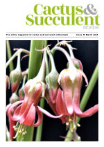 CSR March 2022 cover