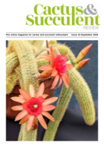 CSR September 2024 cover